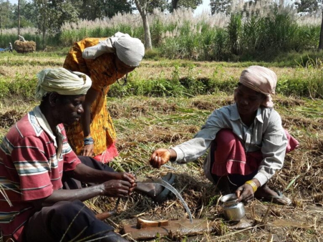 working in the field